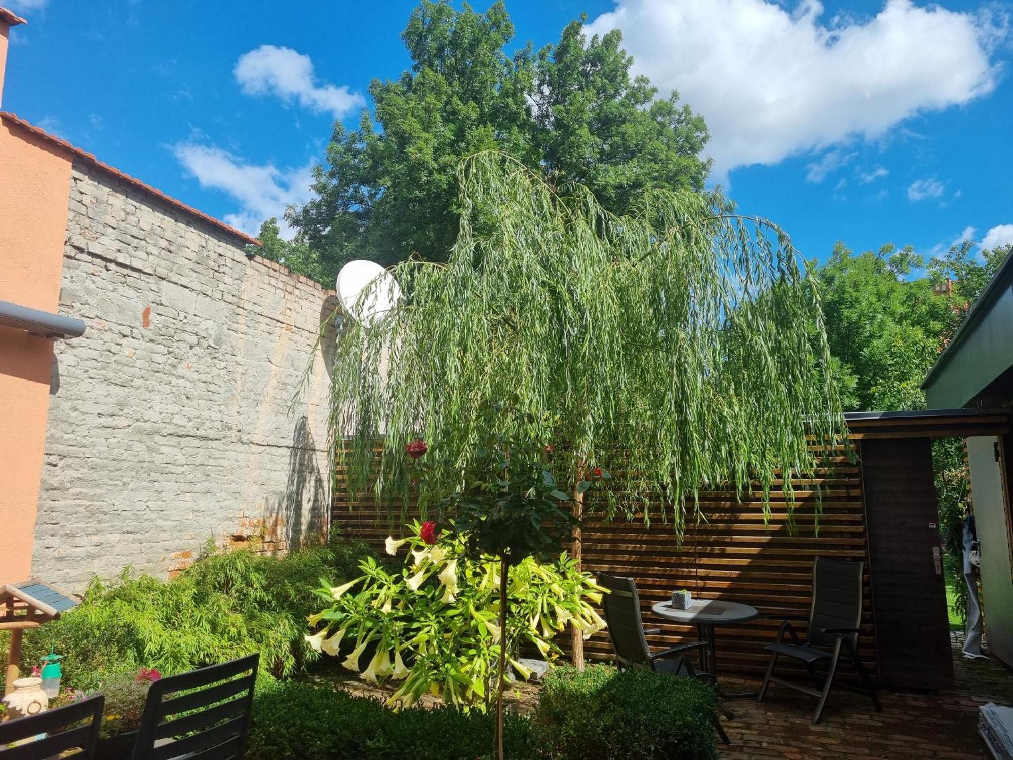 ארפורט Apartments Junger-Moritz חדר תמונה